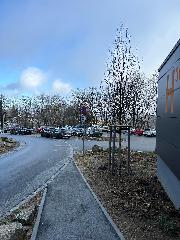 Ferienwohnungen Traumblick im Ferienpark Geyersberg in Freyung
