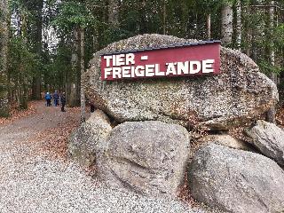Blockhaus am Baumwipfelpfad in Neuschönau