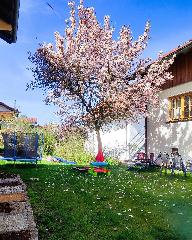 Ferienwohnung zur alten Schmiede in Arrach