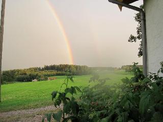 Gschwandnerhof  in Michelsneukirchen