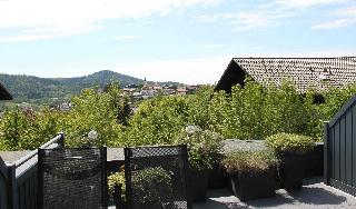 Villa Relax - Ferienwohnungen & Hallenbad & Relaxgarten in Bodenmais
