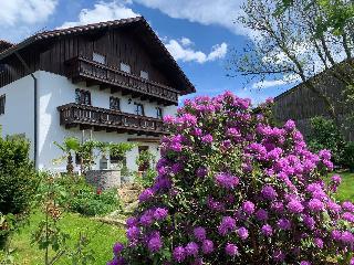  Habicht Ferienhaus in Arnbruck