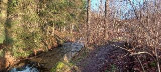 Ferienwohnungen Rihm in Arrach