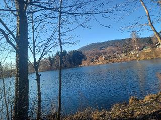 Ferienwohnungen Rihm in Arrach