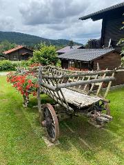 Ferienwohnungen Rihm in Arrach