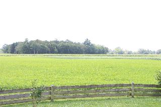Das Naturidyll 