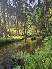 Fewo Kleine Auszeit in Sankt Englmar
