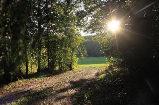 Ferienhof Aiginger in Grafenau