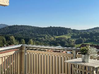 Haus Paradies Superior FEWO`S Loft/Terrasse, private Sauna in Sankt Englmar