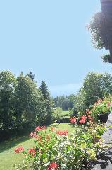 Falkenhof classic in Bayerisch Eisenstein