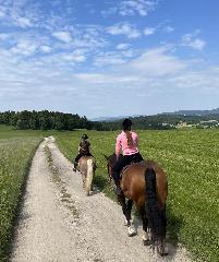 Ferienhof Hackl in Zwiesel