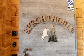 Blockhaus am Baumwipfelpfad in Neuschönau