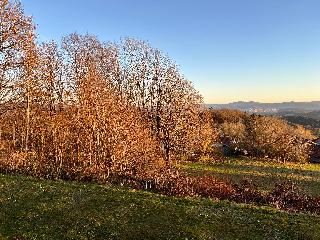 Ferienwohnungen Bayerischer Wald mit Pool in Freyung