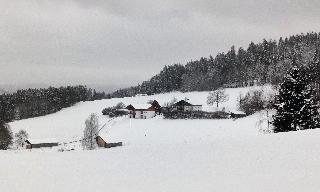Grundhof in Drachselsried