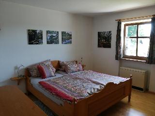 Ferienhaus Nienaber in Grafenau