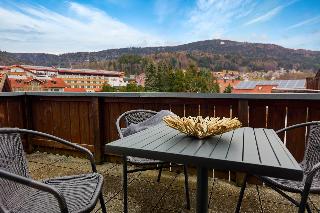 Appart-Hotel Wildererstuben in Bodenmais