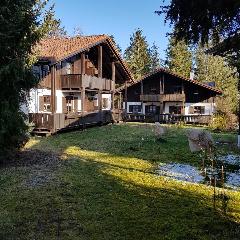 Ferienhaus Walter im Waldferiendorf in Regen