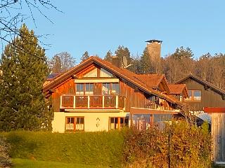 Haus der sieben Schwaben in Spiegelau