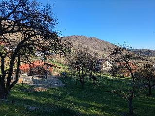 Haus Bärnstein in Grafenau