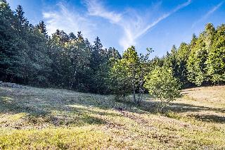 Chalet Leithenwald in Zwiesel