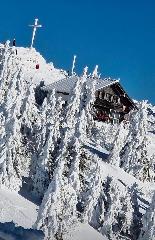 Chalet Leithenwald in Zwiesel