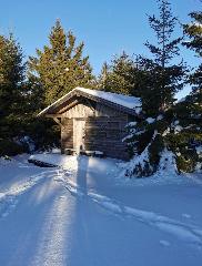 Chalet Leithenwald in Zwiesel