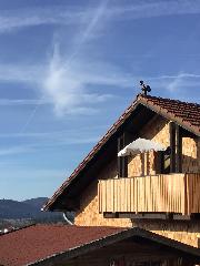 Ferienwohnung Dorfblick (Herzog) in Lindberg
