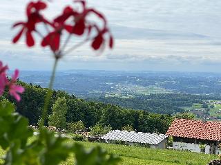 Pension Jodlbauer in Schöllnach