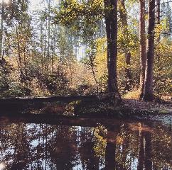 Ferienwohnungen Leithenwald in Zwiesel