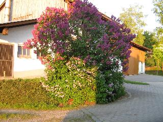 Kagerbauernhof in Arnbruck