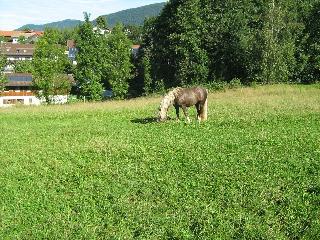 Kagerbauernhof in Arnbruck