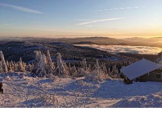 Ferienwohnungen Leithenwald in Zwiesel
