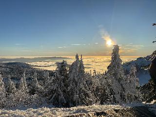 Ferienwohnungen Leithenwald in Zwiesel