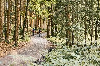 Ferienwohnungen Leithenwald in Zwiesel