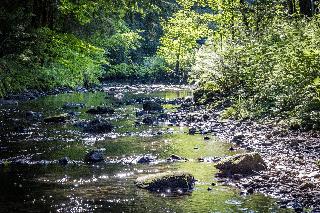 Ferienwohnungen Leithenwald in Zwiesel