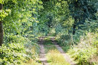 Ferienwohnungen Leithenwald in Zwiesel