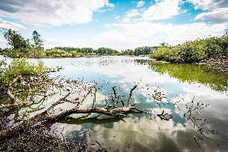 Ferienwohnungen Leithenwald in Zwiesel