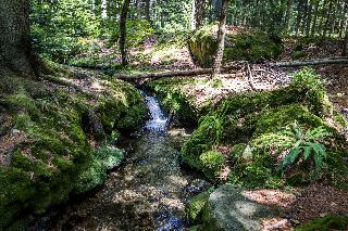 Ferienwohnungen Leithenwald in Zwiesel