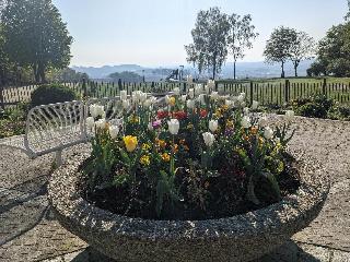 Ferienappartement Bademantelzugang zur Therme in Bad Griesbach Therme i. Rottal