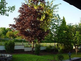 Ferienwohnung Späth in Neuschönau