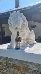 Ferienwohnung Goldfasan in Lam