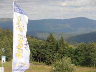 Arber-Alm in Bayerisch Eisenstein