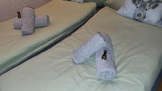 Ferienwohnung Osser Woid in Lohberg