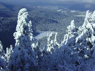 Ferienwohnung Osser Woid in Lohberg