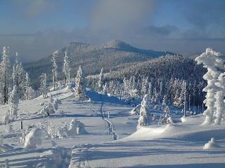 Ferienwohnung Osser Woid in Lohberg