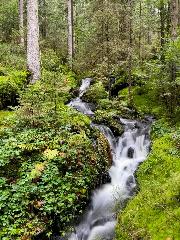 Ferienwohnung Osser Woid in Lohberg