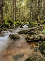 Ferienwohnung Osser Woid in Lohberg