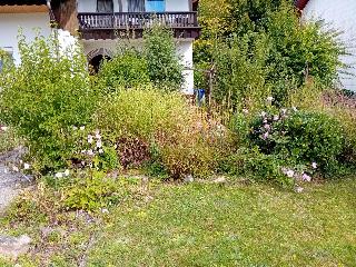 Ferienwohnung Oswald Reinhold in Regen