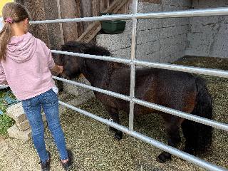 Ferienhof Schauer in Drachselsried