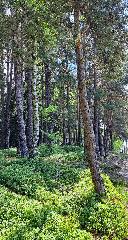 Ferien im Kühbergstadl in Bischofsmais